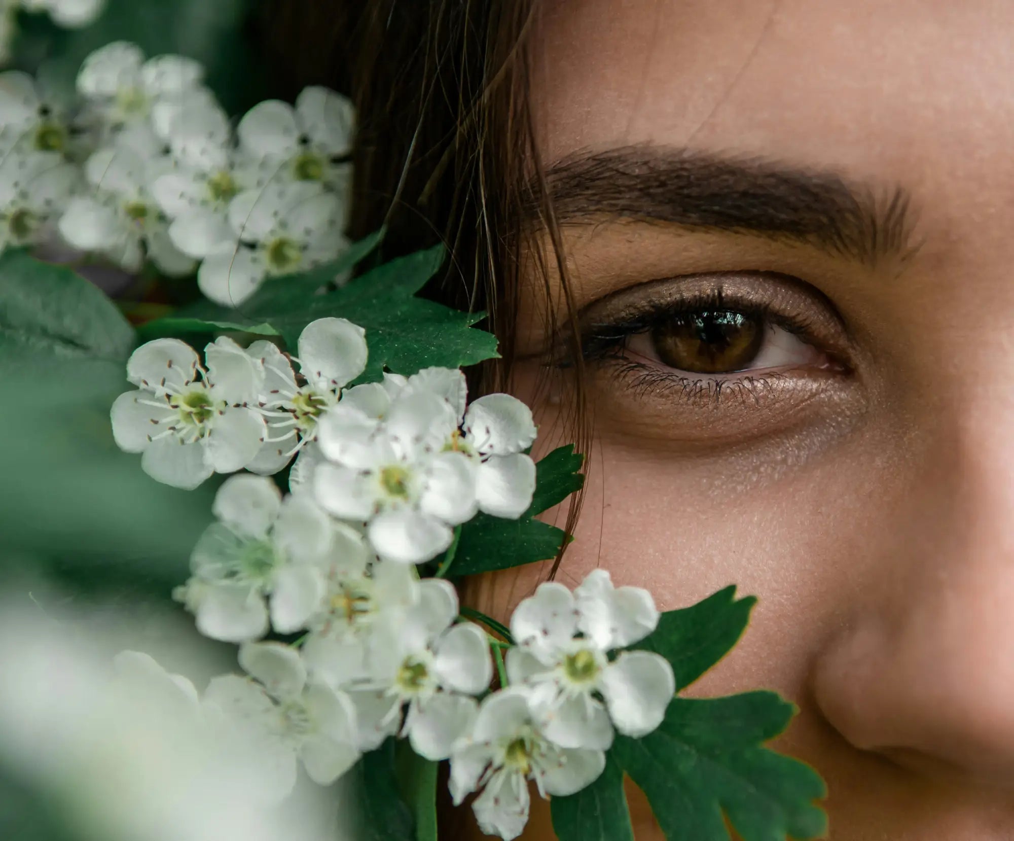 A cluster of delicate white blossoms with green leaves partially obscuring a person’s eye in k-beauty south africa guide