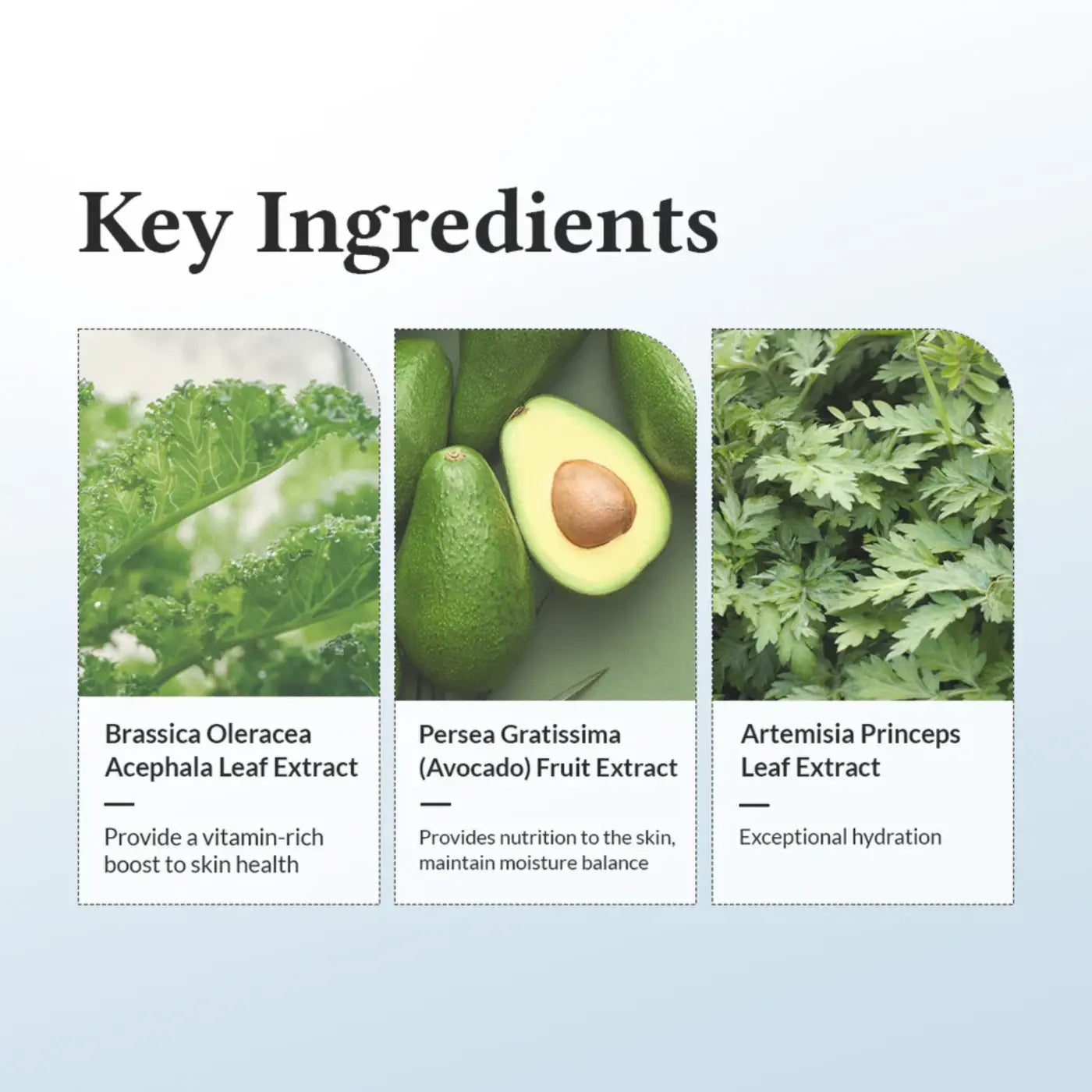 147 barrier cream 50ml with brassica oleracea acephala leaf, avocado, and artemisia princeps extracts from the seoul palette