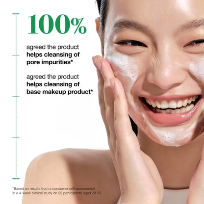 Heartleaf Quercetinol Pore Deep Cleansing Foam 150ml - Water Based Cleanser Anua Facial Cleansers