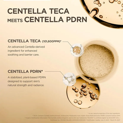 Madagascar Centella TECA Ampoule 50ml - Serum and Skin1004 Face Serums