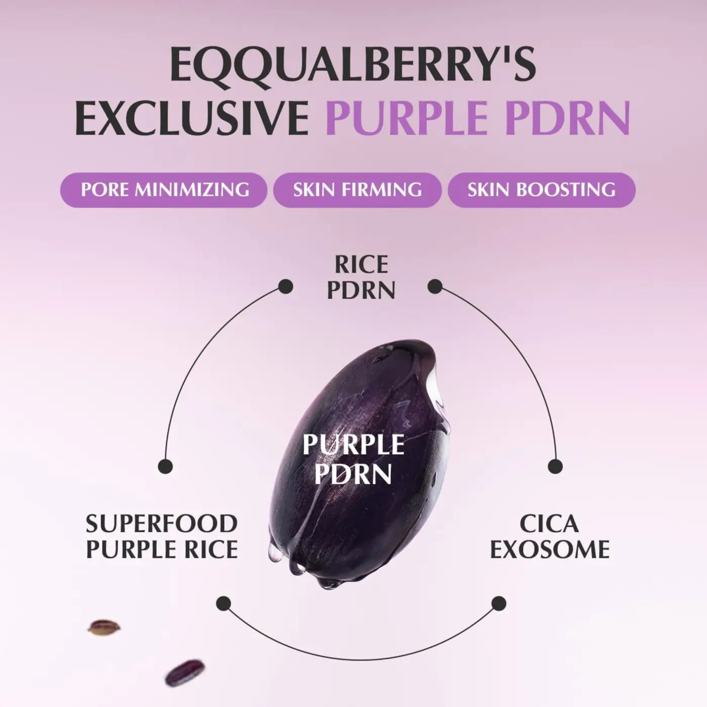 A glossy deep purple rice grain representing the key ingredient in purple pdrn pore minimizing serum 30ml by seoul palette